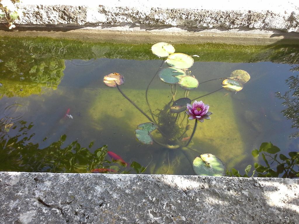 Poggio Mario Villa Saturnia Kültér fotó